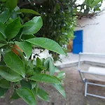 Seta Αγκριτζέντο