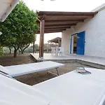 Seta