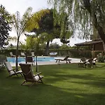 Seta