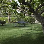 Seta