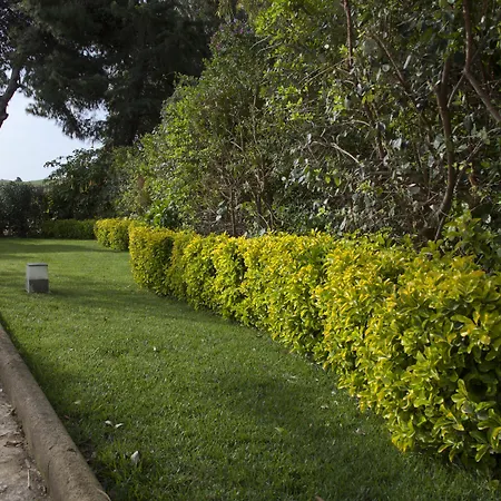 Seta Bed & Breakfast 4*