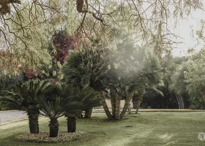 Seta Nocleg ze śniadaniem Agrigento