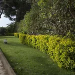 Seta Bed & Breakfast 4*