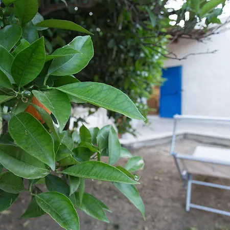 Seta Agrigento