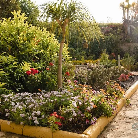 Seta Bed & Breakfast