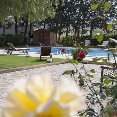 Seta Αγκριτζέντο