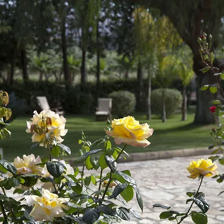 Seta 4* Αγκριτζέντο