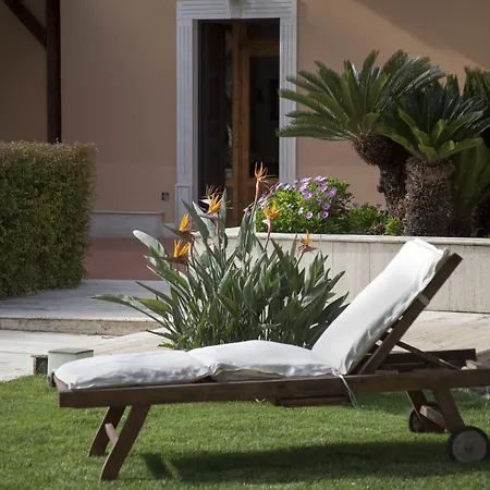 Seta Агрідженто